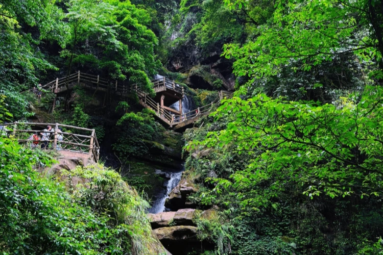 Sichuan Ya'an Bifengxia