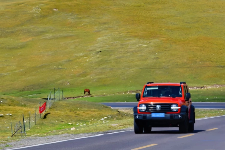 Travel by Car