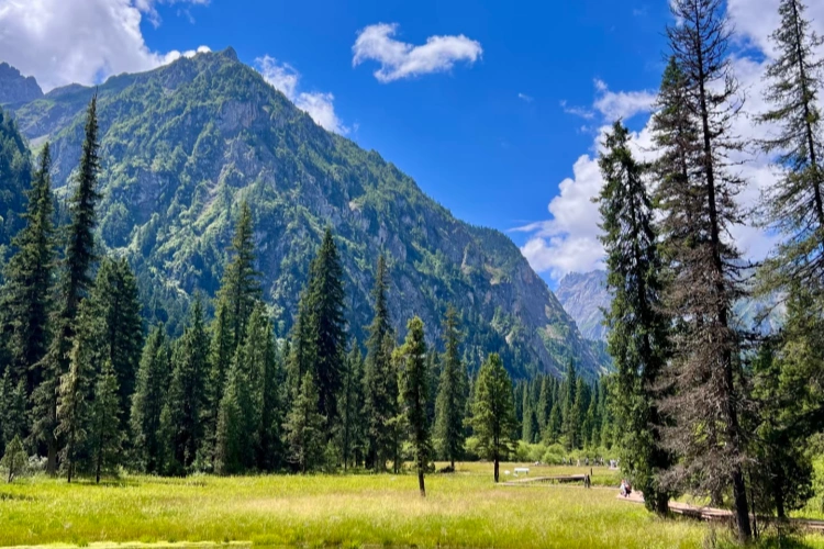 Wanglang Nature Reserve
