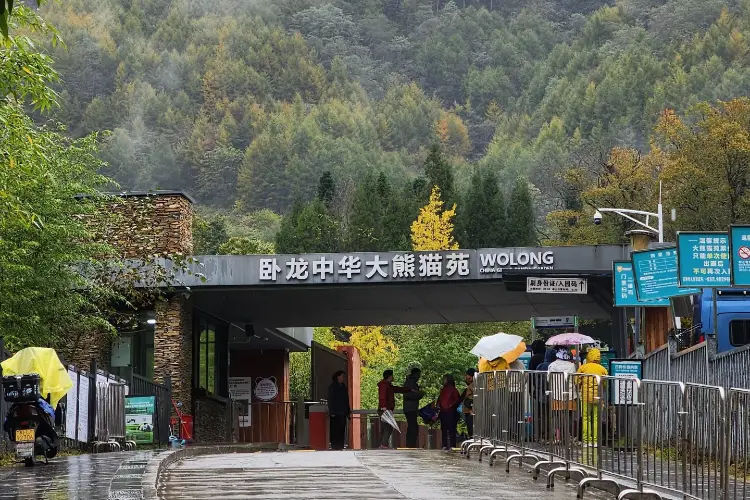 Wolong Shenshuping Panda Reserve