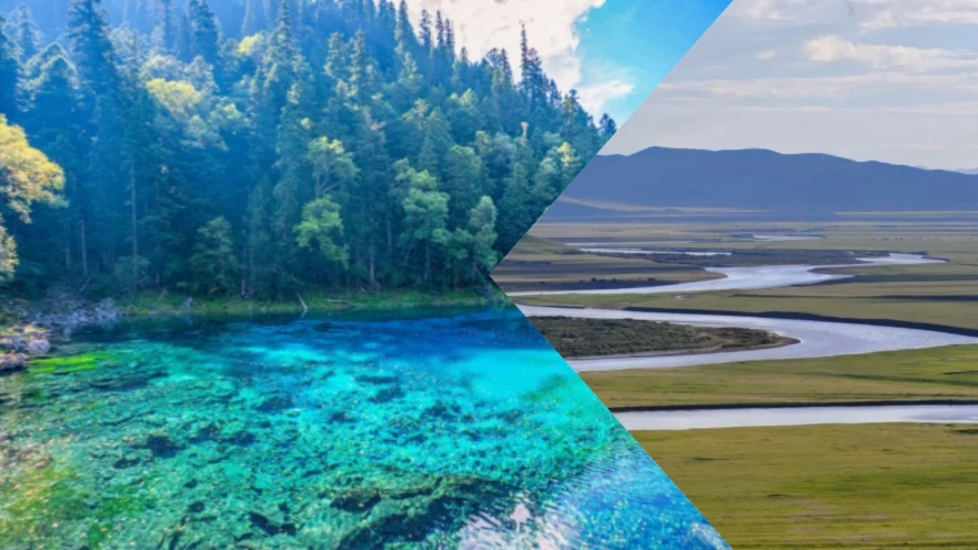 Chengdu Jiuzhaigou Zoige Tour